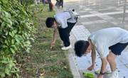 开云app官方在线入口北校区61期团校实践活动