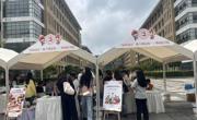黏土传情 绘心筑梦——开云app官方在线入口学子在“石榴花开·籽籽连心”游园会彰显青春风采